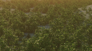 images/download/thumbnails/12071122/VRayAerialPerspective-filter-color-orange.png